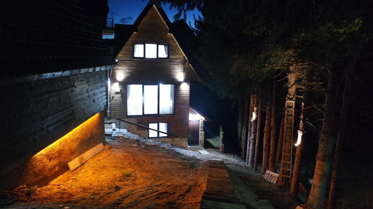 Villa Zagorka And Mountain Houses A, M, D Kopaonik Exterior photo