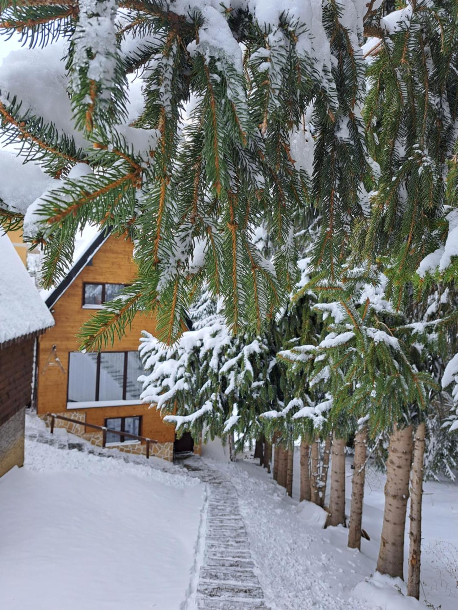 Villa Zagorka And Mountain Houses A, M, D Kopaonik Exterior photo